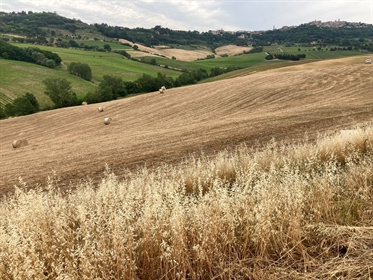 Terres agricoles de 200000 m2 à Montepulciano