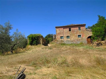 Maison de campagne / Ferme / Cour de 1100 m2 à Torrita di Siena