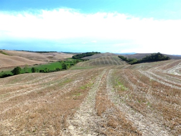 Terreno Agricolo di 1400000 m2 a Castelnuovo Berardenga