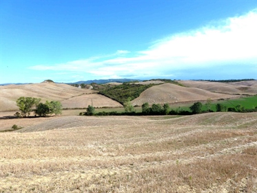 Terres agricoles de 1400000 m2 à Castelnuovo Berardenga
