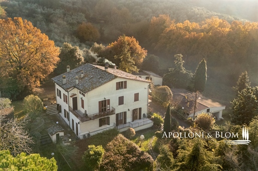 Tóra néző, felújítandó lakás - Panicale