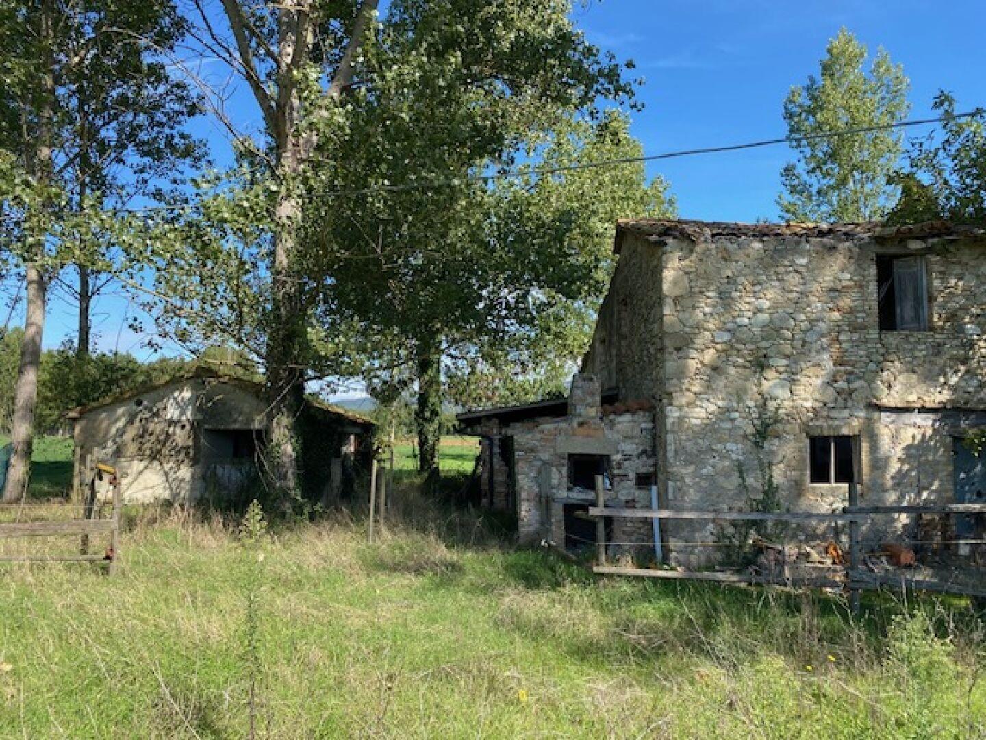 All'ombra del pioppo, rudere a Massa Martana, Perugia