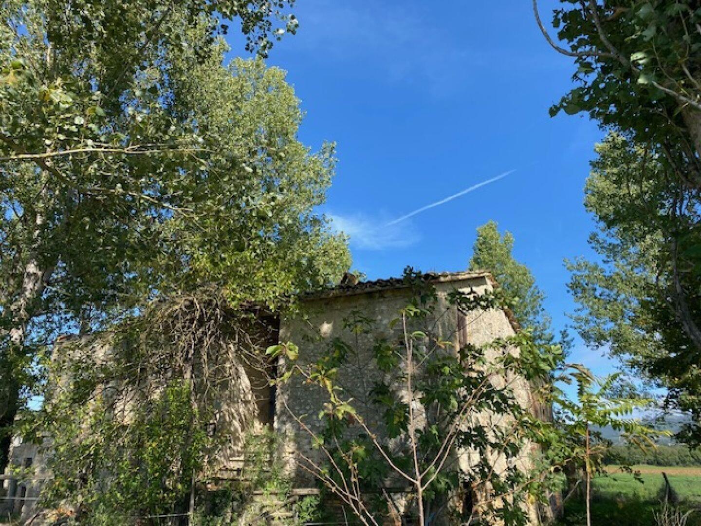 All'ombra del pioppo, rudere a Massa Martana, Perugia