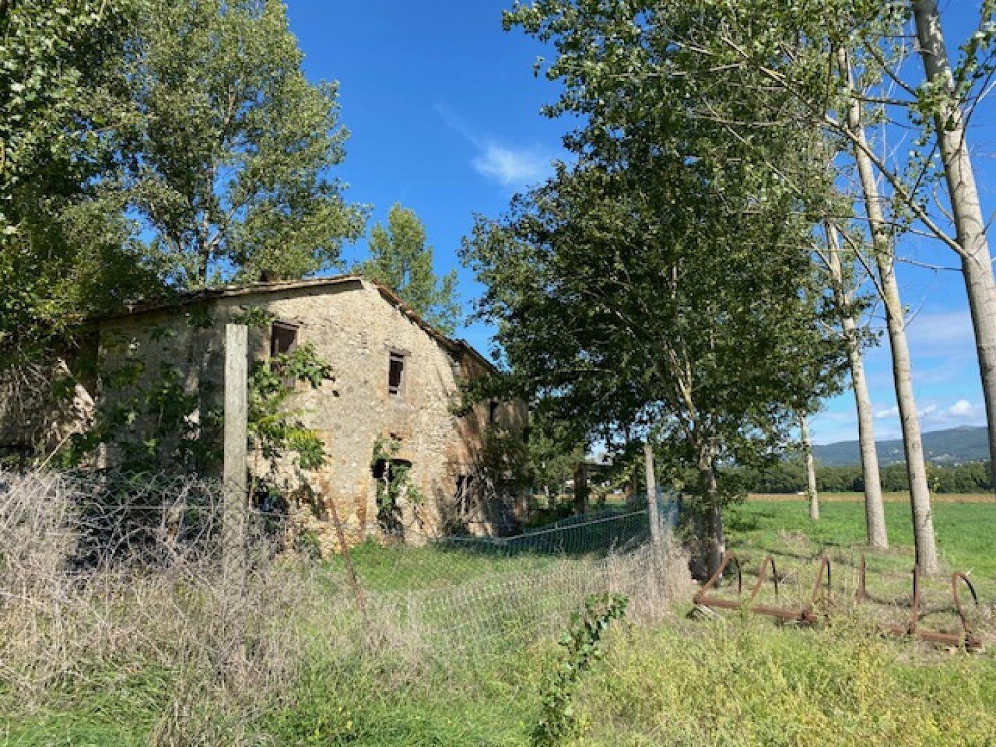 All'ombra del pioppo, rudere a Massa Martana, Perugia