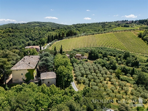 Farm 4500 m2 in Castellina in Chianti