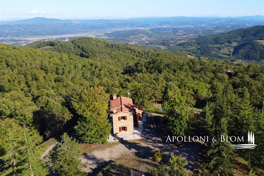 Stone farmhouse with swimming pool and dominant view - Cetona