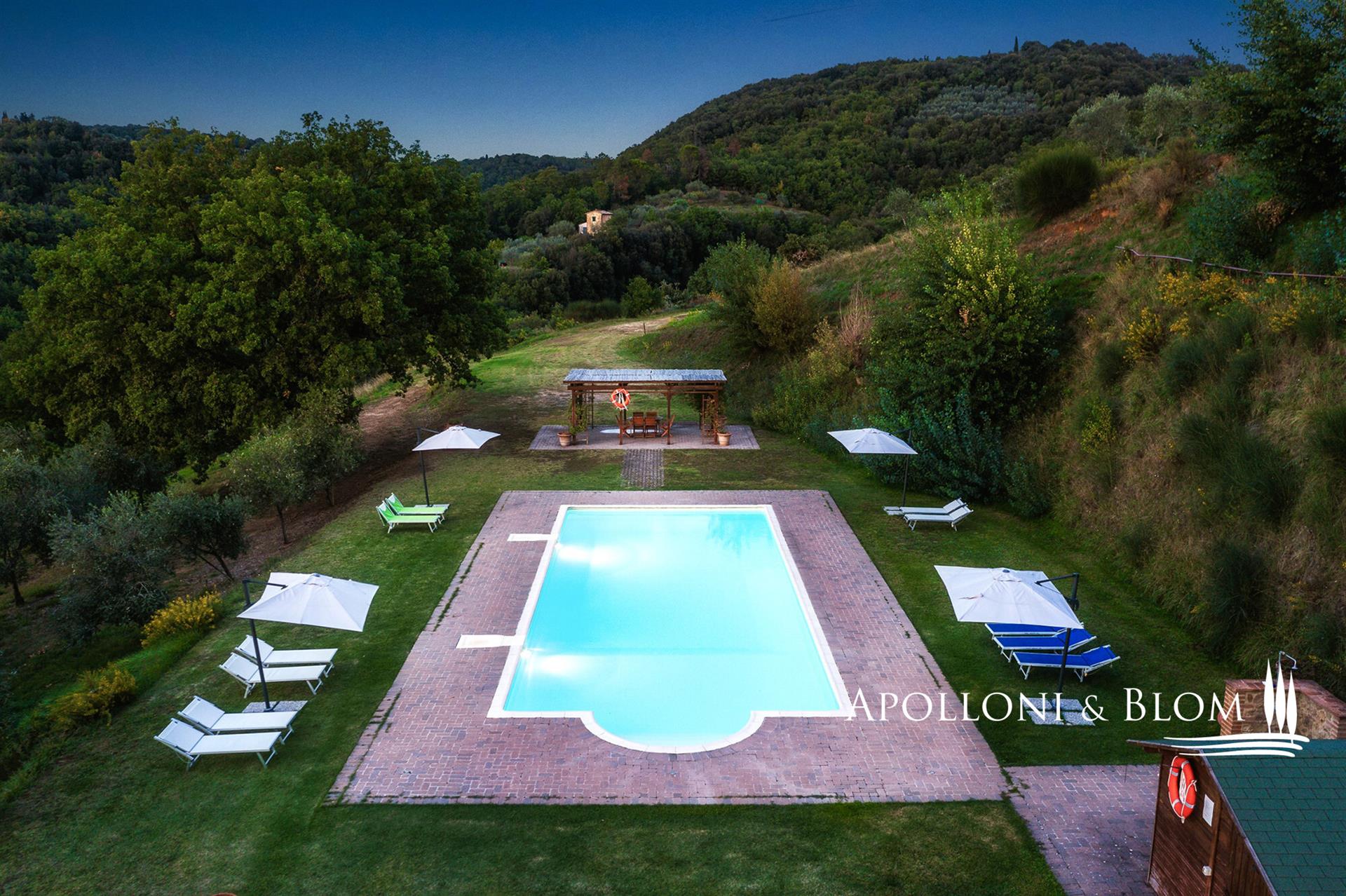 In a village with swimming pool and olive grove overlooking Trequanda