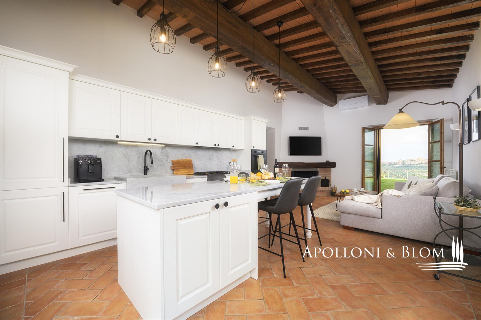 In a village with swimming pool and olive grove overlooking Trequanda