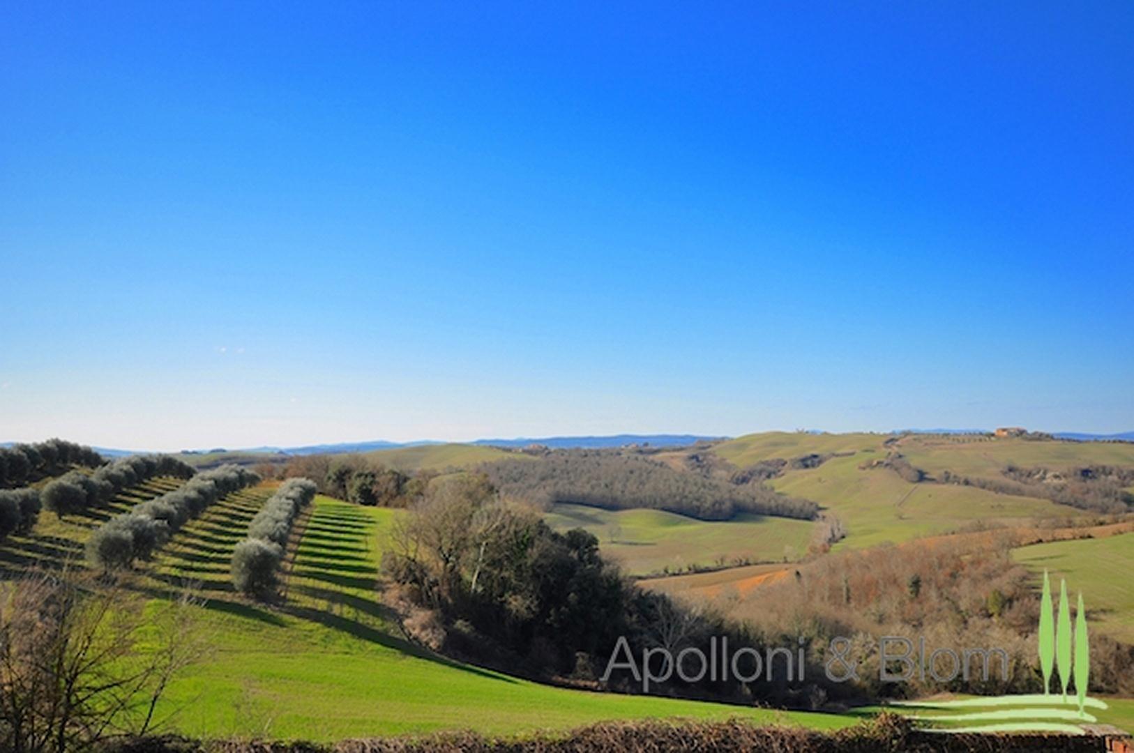 Casale I Giganti, Asciano, Siena - Tuscany