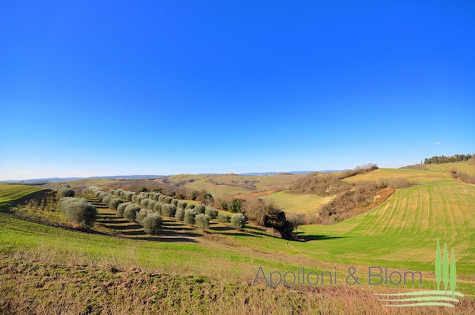 Casale I Giganti, Asciano, Siena - Tuscany