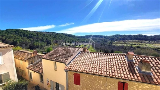 La-Roque-sur-Pernes - charming village house with two dwellings completely renovated and moder