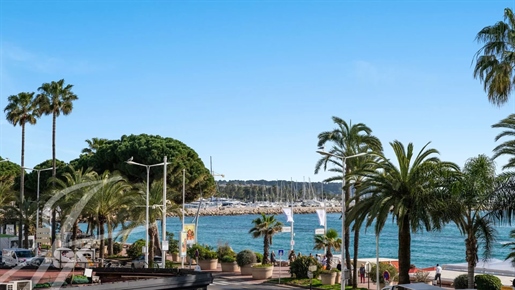 Croisette Prime location First class Residence spacious apartment with sea view