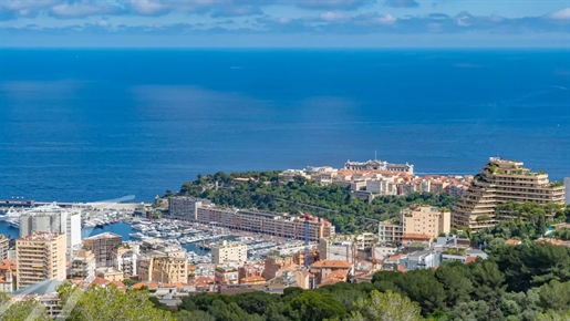 Near Monaco - Contemporary Villa With Sea And Monaco View - 6 Bedrooms - Swimming Pool - Garages