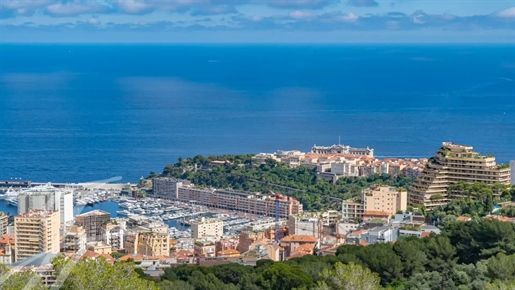 Vicino A Monaco - Villa Contemporanea Con Vista Mare E Monaco - 6 Camere Da Letto - Piscina - Garage