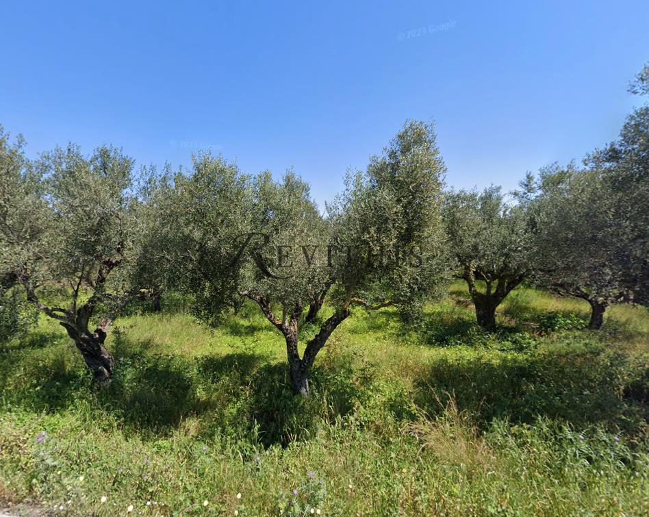 - Parcel For sale, Laganas, 183.000 sq.m., €1.800.000