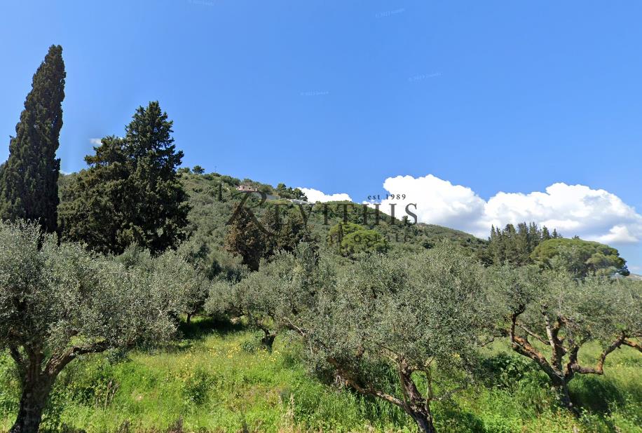 - Parcel For sale, Laganas, 183.000 sq.m., €1.800.000