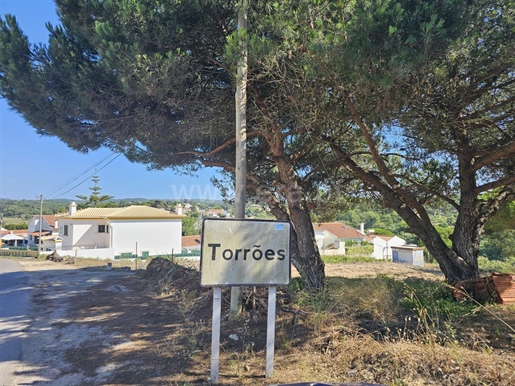 Terreno c/ 11912cm2, em Torrões