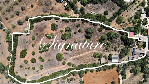 Antiga Quinta grande num terreno de 1,5 hectare em Santa Barbara de Nexe