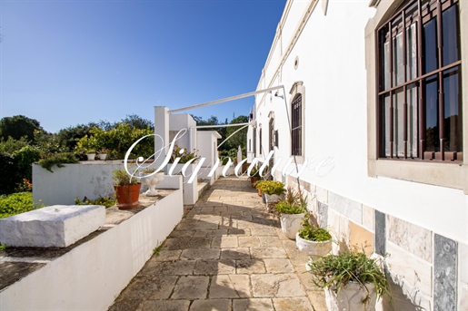 Opportunity: Traditional 5 bedroom Quinta in Santa Barbara de Nexe with sea view.