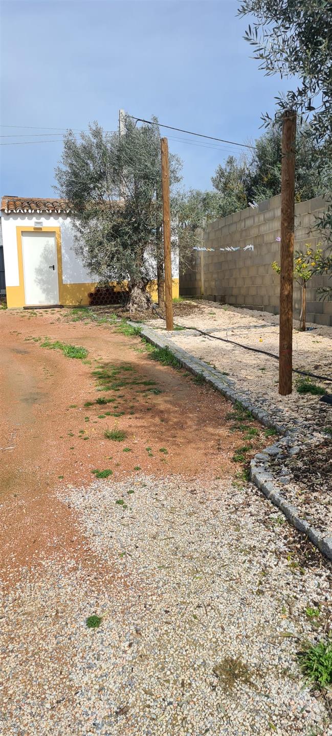 Country House in Reguengos de Monsaraz 