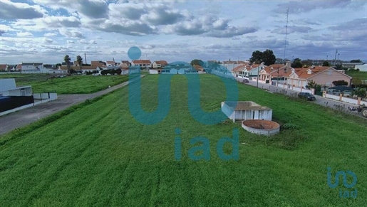 Advert pic 0