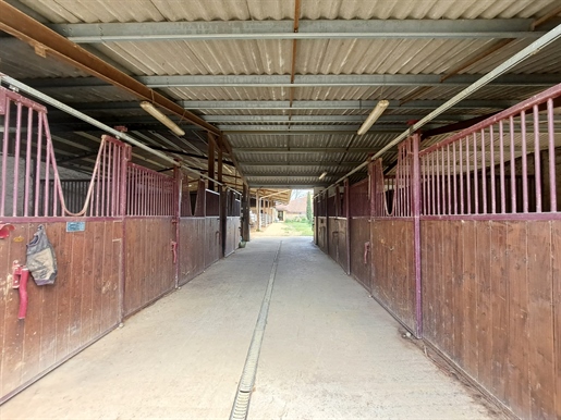 Magnificent Equestrian Property on 40 Hectares of Land