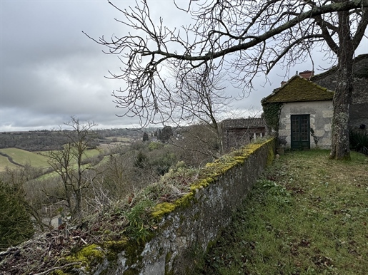 Large Character Property in the Heart of Lectoure