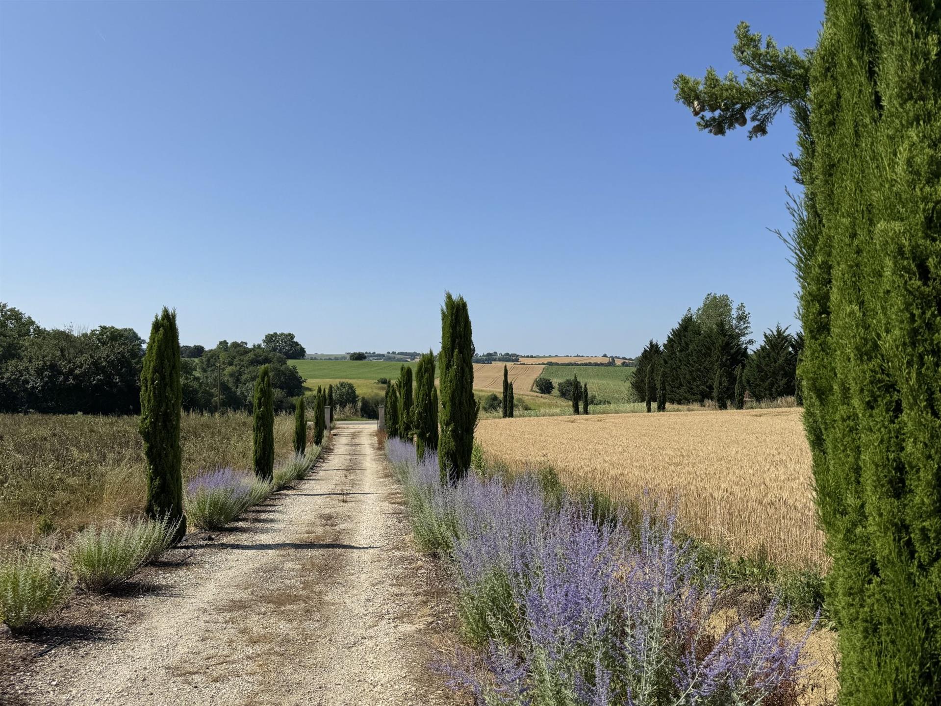 Elegance, Space and Comfort in a Renovated Former Winery