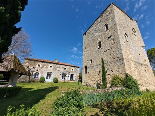 Mooi historisch eigendom met middeleeuwse toren en prachtig uitzicht