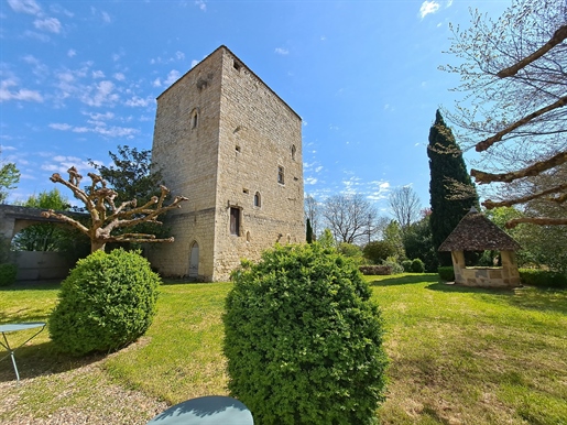 Mooi historisch eigendom met middeleeuwse toren en prachtig uitzicht