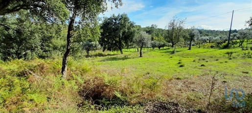 Country House with 3 Rooms in Castelo Branco with 80,00 m²