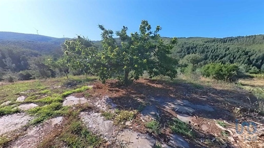 Tierra en el Castelo Branco, Sertã