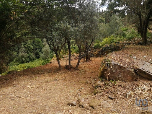 Terreno em Pedrógão Grande de 1800,00 m²