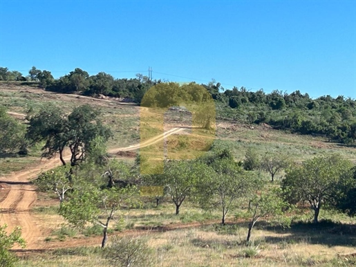 Rustic land of 14.5 hectares in the urban area of Loulé