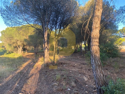 Rustikales Grundstück von 3000m² in einem privilegierten Stadtgebiet an der Algarve - Die perfekte G