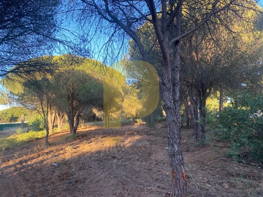 Rustic land of 3000m² in a privileged urban area in the Algarve - The perfect opportunity for invest