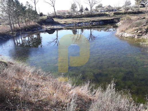 14.5Ha property with irrigation | Developable in Belmonte, Castelo Branco