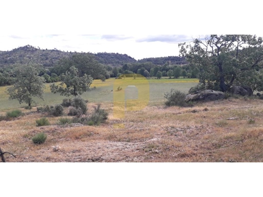 14,5Ha großes Grundstück mit Bewässerung | Entwickelbar in Belmonte, Castelo Branco