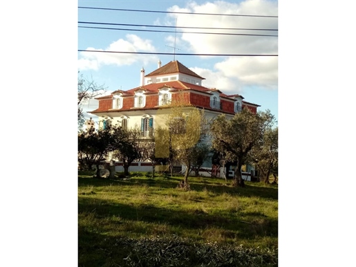 Ferme de 6 ha dans la ville d'Évora