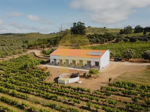 An Exceptional Property for Vineyard Investment, Hotel Vidigueira Region. A Rural Paradise of Wines