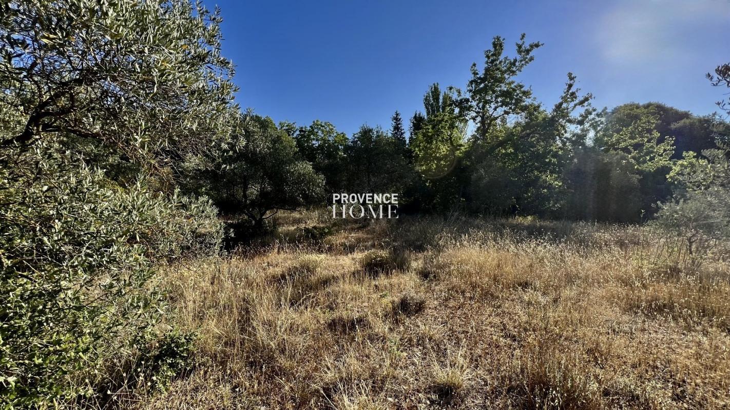 Terrain constructible