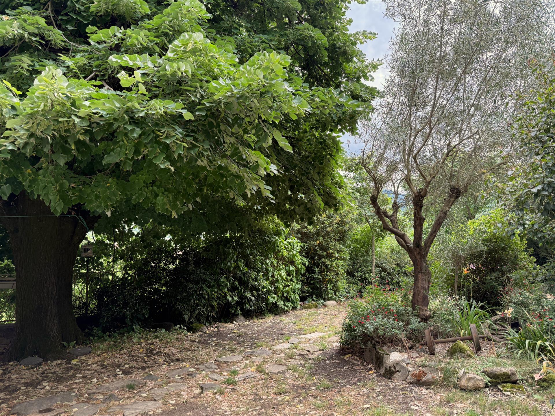Hus med gîtes på 2177 m2 mark i Ardèche