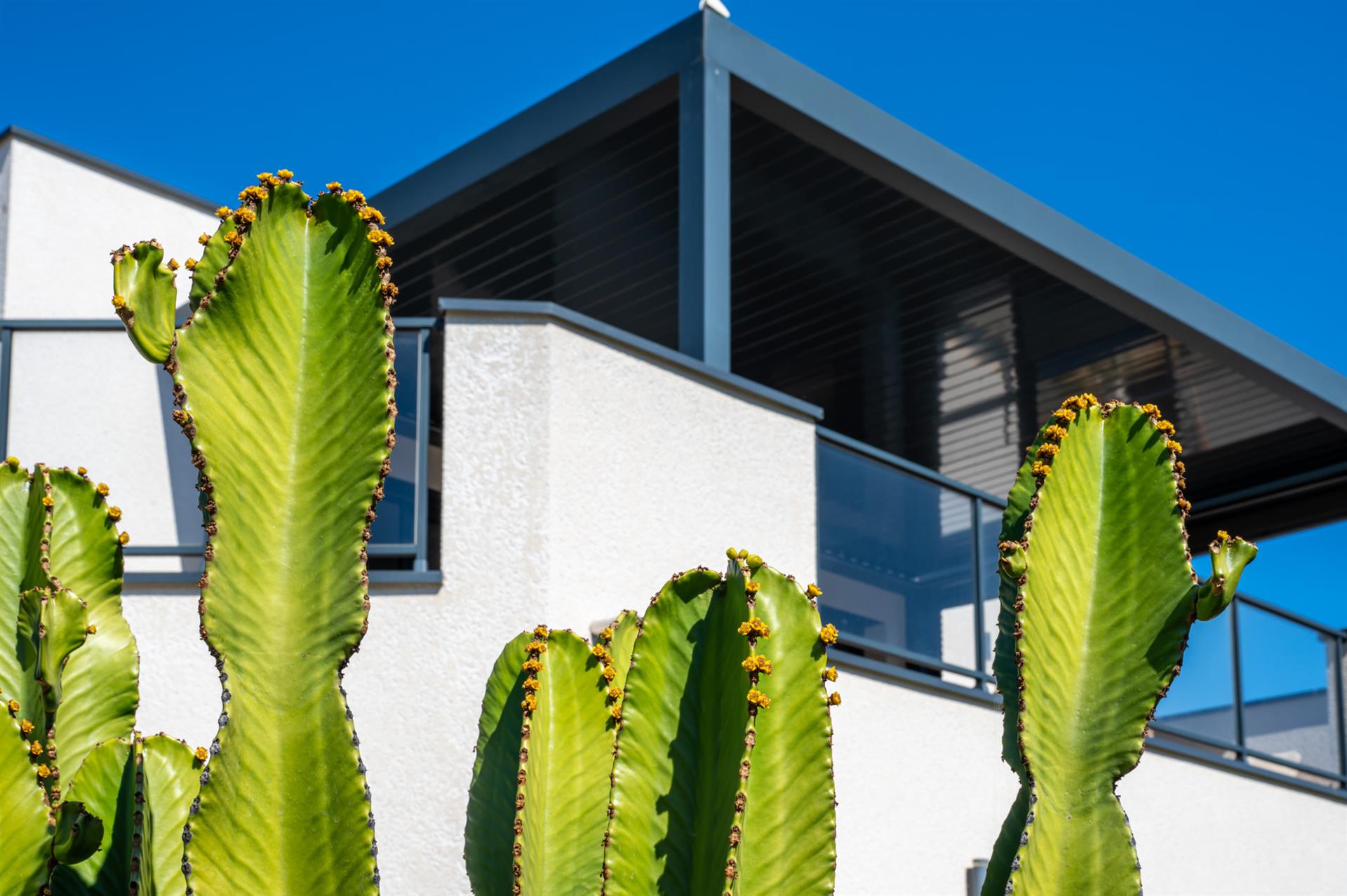 Bandol, superb contemporary villa 50 meters from the sea