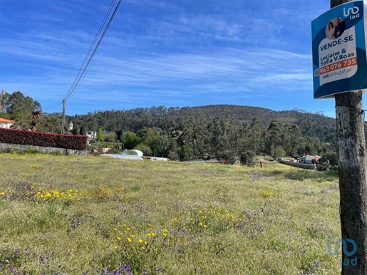 Advert picture