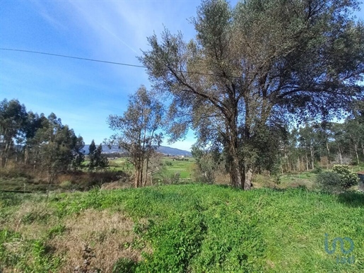 Construction land with 3 Rooms in Braga with 300,00 m²