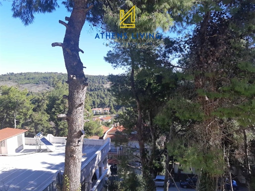 832673 - Appartement à vendre, Agios Stefanos, 117 m², €210.000