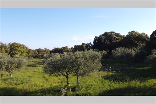 Exceptional building plot of 2016m² 5km from Uzes.