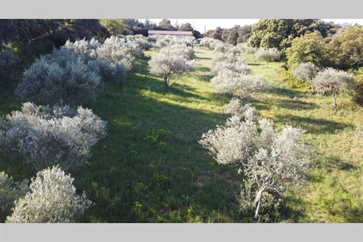 5 km Uzes. Secteur privilégié. Parcelle de 1764m2.