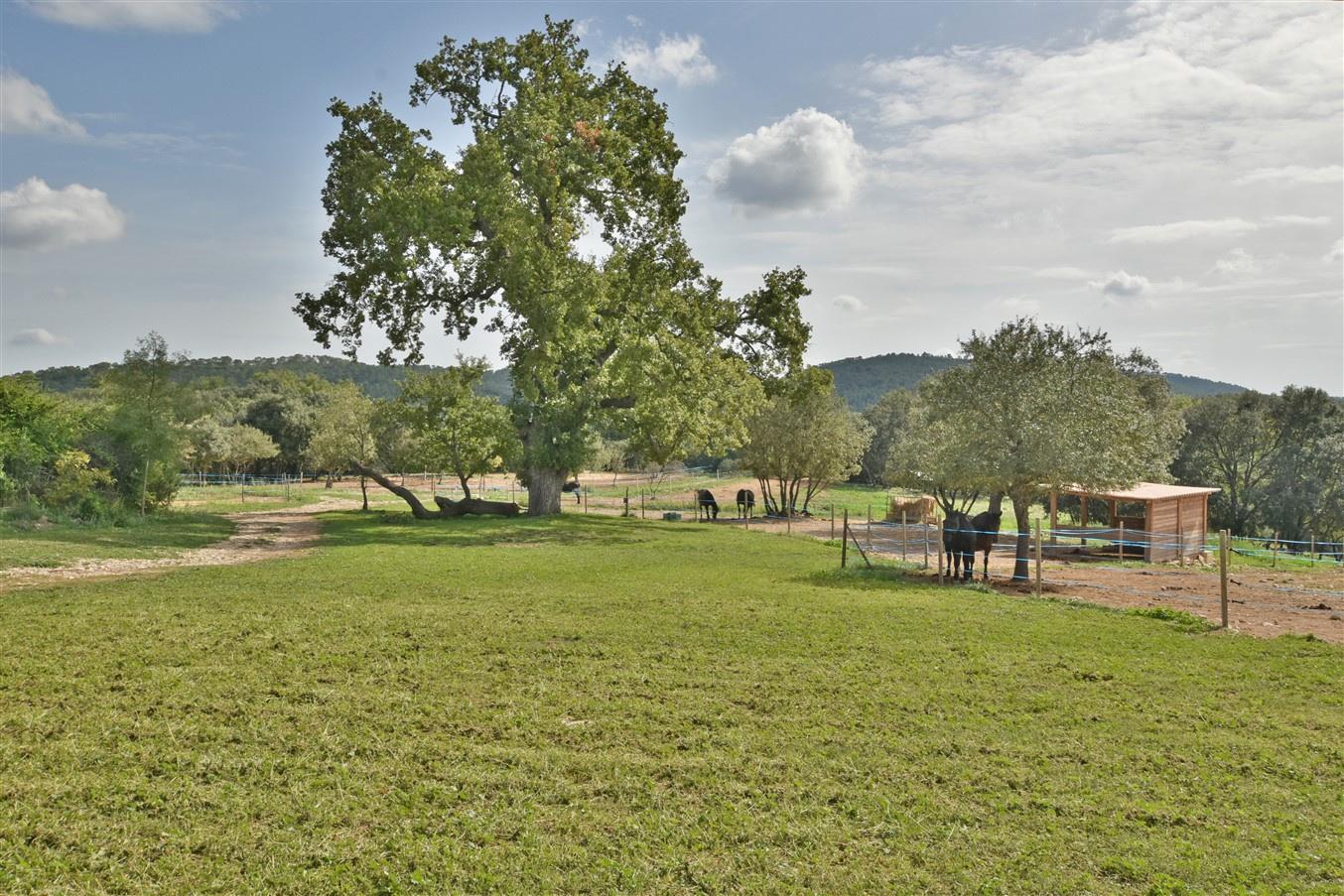 Stone Farmhouse, Land, Pool, Horse Stables