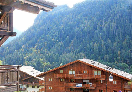 Mezzanine Apartment with "Coin Montagne" in Central Chatel